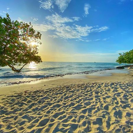 Palm Beach Paradise Vacation Rental المظهر الخارجي الصورة