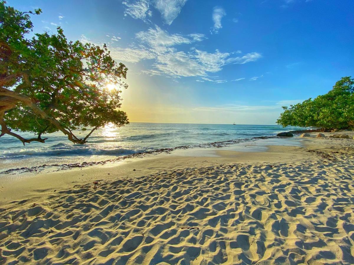 Palm Beach Paradise Vacation Rental المظهر الخارجي الصورة